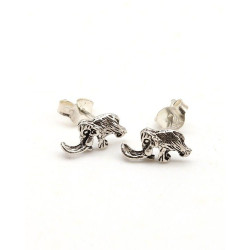 Clous d'oreilles argent...