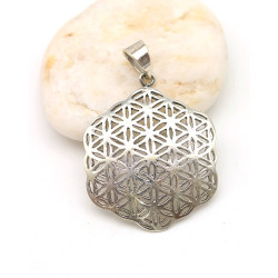 Pendentif fleur de vie...
