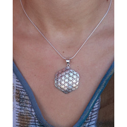 Pendentif graine de vie...