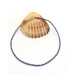 Chaine de pied bleue -...