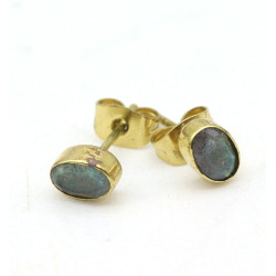 puce d'oreille ovale...