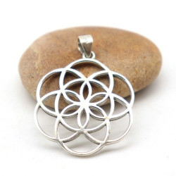 Pendentif graine de vie...