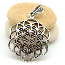 Pendentif argent graine de...