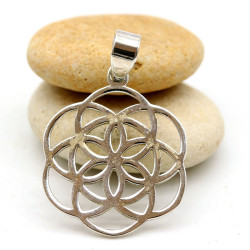 Pendentif graine de vie en...