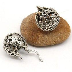 Boucle d'oreille argent...