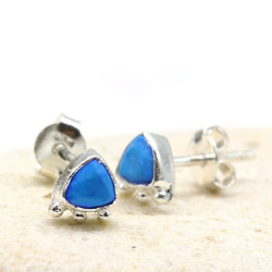 Puce d'oreille turquoise en...
