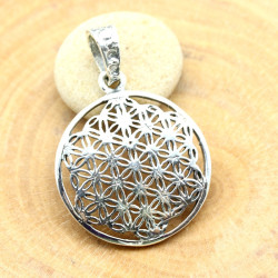 Pendentif Fleur de vie...