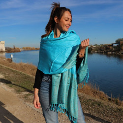 etole bleue indienne -...