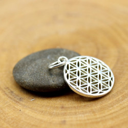 Petit pendentif Fleur de...