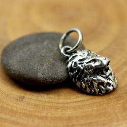 Pendentif tête de lion...