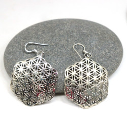 Boucles d'oreilles graine...