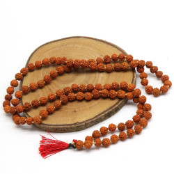 Mala court perles de Rudraksha