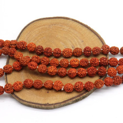 Mala court perles de Rudraksha