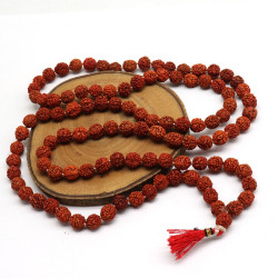 Mala perles de rudraksha