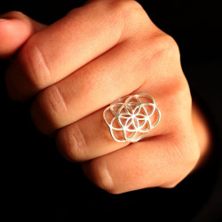 Bague graine de vie en argent