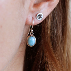 Boucle d'oreille argent et...