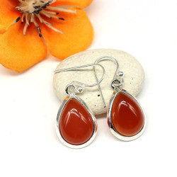 Boucles d'oreille argent et...
